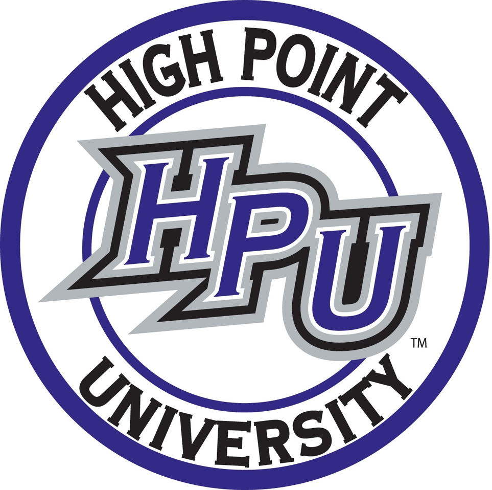 High Point Panthers 2004-Pres Alternate Logo v4 diy iron on heat transfer